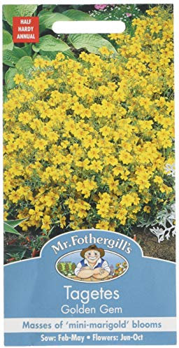 Mr. Fothergill's 12253 Golden Gem Tagetes Marigold Flower Seeds, golden yellow