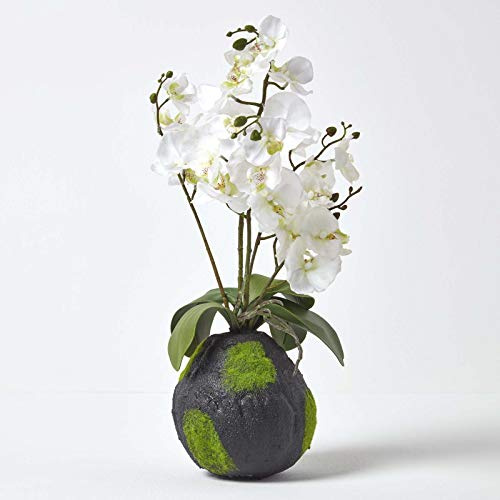 Homescapes vit konstgjord orkidé med verklighetstrogna silkesblommor och realistiska gröna blad orientalisk phalaenopsis orkidéblomma med fuskmossbas 60 cm hög för inomhusdekoration