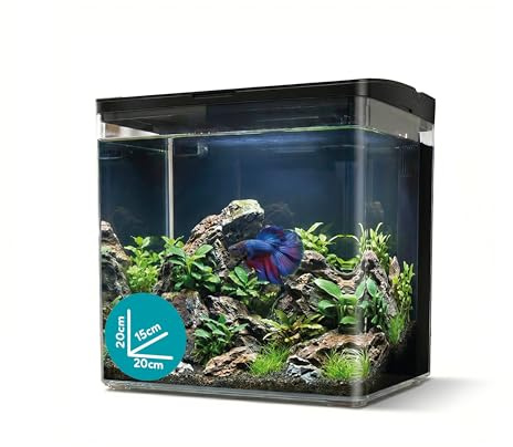AQPET NEYA Acquario da Scrivania con Filtro e Pompa Inclusi, LED 5 Modalità e Porte USB – Mini Acquario in Acrilico con Coperchio Apribile, Ideale per Betta, Caridine e Piante Acquatiche 5lt (Nero)
