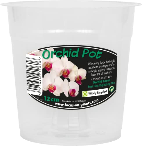 Growth Technology Ltd Clear Orchid Pot 12cm, Green