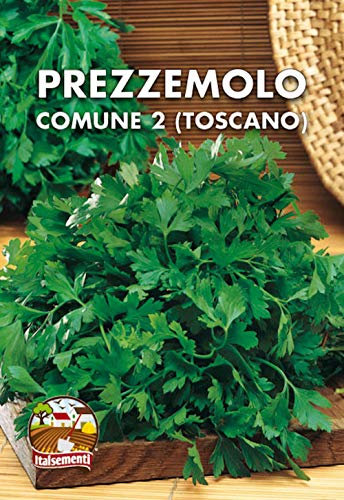 PREZZEMOLO Comune 2 (Toscano) Petroselinum crispum - SEMI
