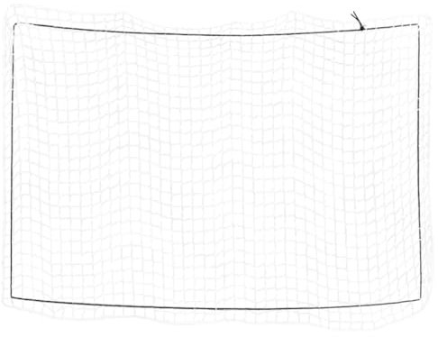 vidaXL Anhängernetz, Hängernetz mit Gummiseil, Abdecknetz für Anhänger, Transportnetz Ladungssicherungsnetz Gepäcknetz, Weiß 5x3,5m PP