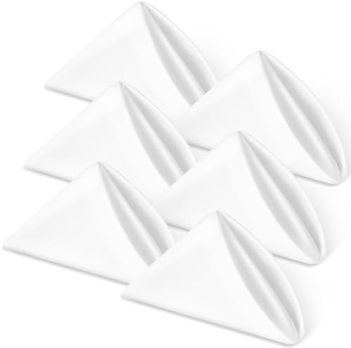 AiQInu Stoffservietten Weiß Baumwolle in 40x40 cm,6er-Set,mit Umlaufendem Rand，Waschbare Tischservietten für Hotel, Mittagessen, Restaurant, Hochzeiten, Veranstaltungen und Partys