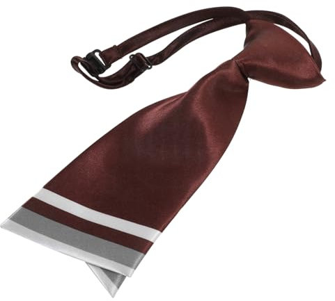 WATIIFUFU Berufskrawatte Für Damen Binden Vorgebundene Krawatten Für Damen Schnallenkrawatte Für Damen Frauen Krawatte Kleiderkrawatten Für Damen Einheitliche Damenkrawatte Seidenimitat