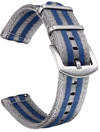 BOLYTE Quick Release Watchbands for Men and Women Multiple Colors Seat Belt Nylon 20mm 22mm Watch Strap (Grey/Blue Striped, 22mm)