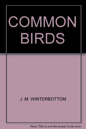 Common Birds Of The Bush