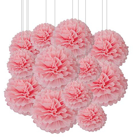 Aimto 12pcs Light Pink Paper Pom Poms Decorations for Party Ceiling Wall Hanging Tissue Flowers Decorations - 1 Color of 12 Inch, 10 Inch