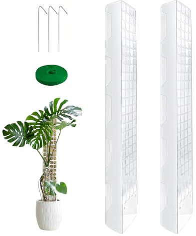 Lot de 2 bâtons de mousse pour monstera, 60 cm, support pour plantes en plastique, adapté pour plantes grimpantes d'intérieur et d'extérieur, bâton musqué pour grandir vers le haut
