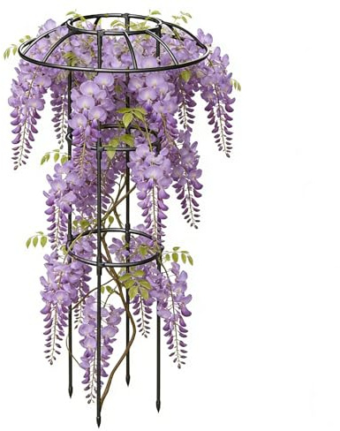 Traliccio da Giardino,Supporto Decorativo Verticale Antiruggine Stabile per Piante Rampicanti - Graticcio a Fungo con Cima Fiorita - adatto a Vite Rosa Clematide e Pothos