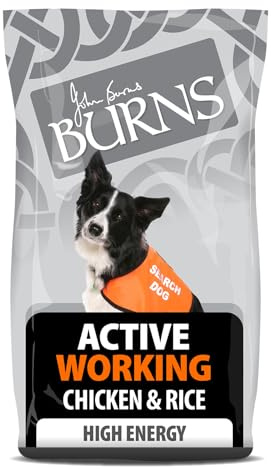 Burns Pet Nutrition Hypoallergenic Complete Dry Dog Food Adult and Senior Dog Active For Working Dogs Chicken and Rice 12 kg