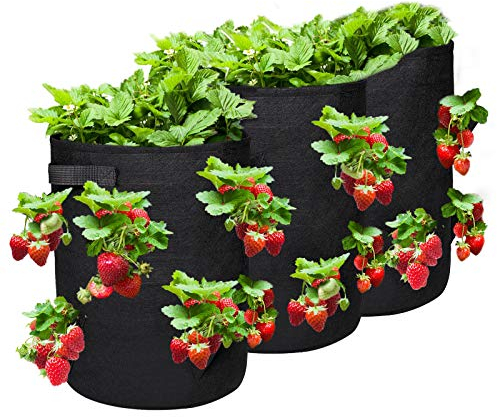 3 Sacs de Plantation Etanche de Jardin,Sac de Culture, Sac à Plantes en Textile Non-Tissé pour Fraise/Fleur/Tomates, Respirant, Perméable à l’Air, 10 Garon avec Poignées et Fenêtre, 35x35x43cm