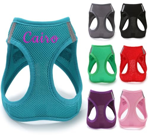 Keruidian Arnés de Malla Suave para Perro con Nombre Bordado Personalizado, para Cachorros (XXS)
