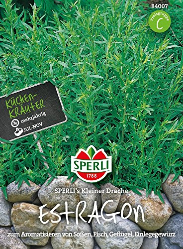 Sperli-Samen Estragon SPERLI's Kleiner Drache