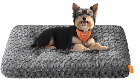 Feandrea Hundebett, Hundekissen M, für kleine Hunde, Flauschige Hundematte, Plüsch, 80 x 50 cm, weiche Polsterung, waschbar, rutschfest, schiefergrau PGW291GN01
