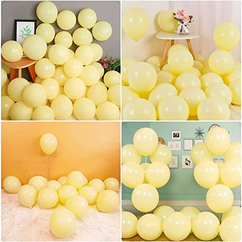 Ballons pastel jaunes de 12 pouces, paquet de 20 ballons crème en latex macaron jaune, guirlande de ballons de fête pour les décorations d'anniversaire de baby shower de mariage