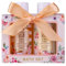 Accentra - Duschset Frauen Geschenkset HONEY JASMINE in schöner Geschenkbox - 2-teiliges Pflegeset mit Duschgel und Bodylotion - Wellness Geschenk Set zum Valentinstag, Muttertag & Weihnachten
