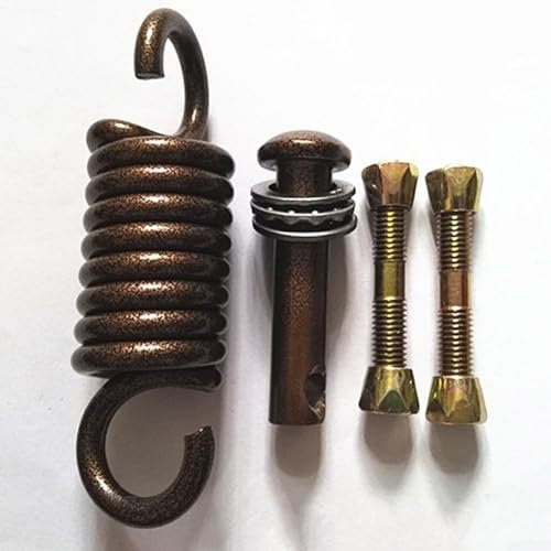 DAZZLEEX 1 set di ganci a molla per sedia sospesa, gancio a molla per sedia a dondolo, massimo 250 kg (marrone)