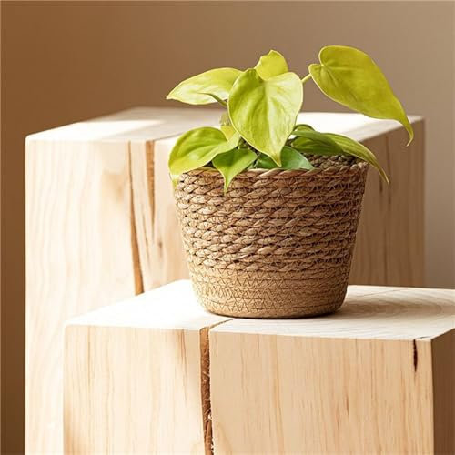 JITASHWA Woven Plant Pot with Liner, Seagrass Planter Basket, Decorative Flower Pots Cover, Indoor Planter Plant Containers, Home Decoration, Medium