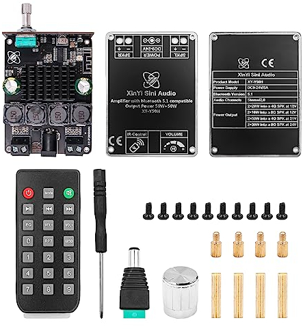 HIFI livello 50W x 2 stereo Bluetooth modulo amplificatore di potenza digitale TPA3116 con telecomando Y50H