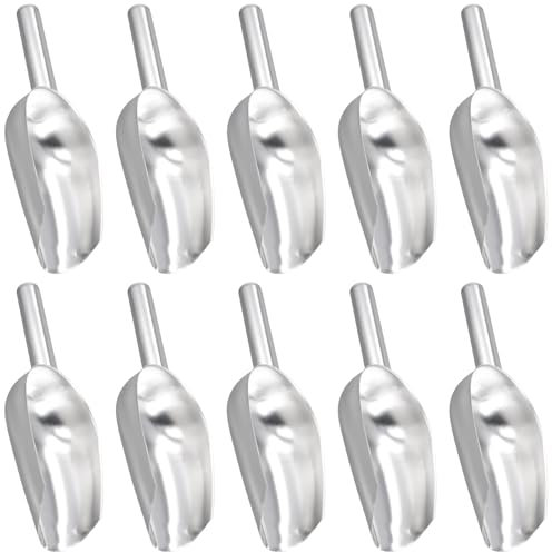 CHUIFAI Lot de 10 petites Pelle à Glace, 19 cm, en acier inoxydable pour machine à glaçons, pour bonbons, cuisine, bar, fête, mariage, nourriture pour chien, pelle de plage, Argent