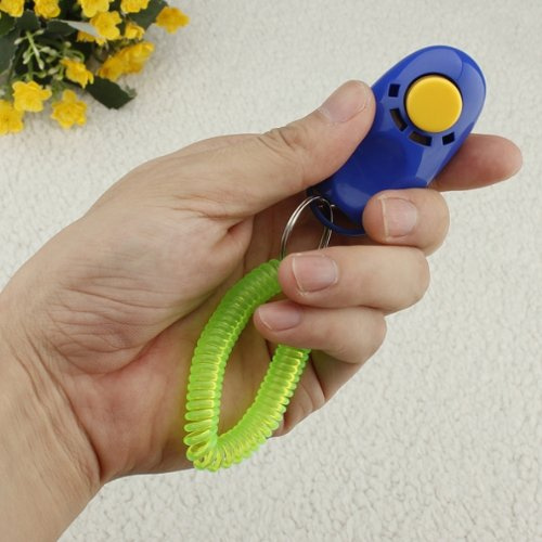 1 guía de entrenamiento para perro, cachorro, gato, mascota, click, entrenamiento de obediencia