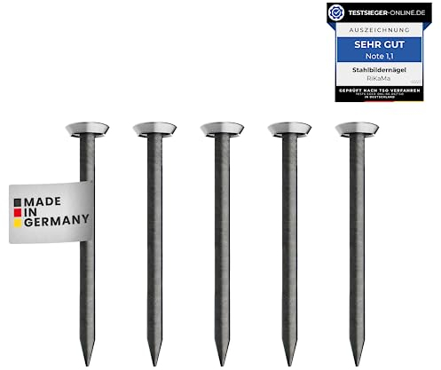 30 Bildernägel mit 30mm Länge – Stahlnägel für den Einsatz auf Beton, Ziegelstein, Putz & Holz – Nägel aus gehärtetem Stahl als Bilder Aufhängung – Made in Europe (Silberner Kopf, 30 mm)