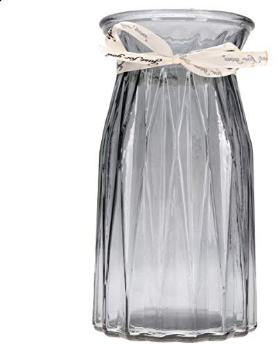 Alipis Vase Verre pour Fleurs Vase Hydroponique Simple Récipient à Fleurs De Style Bouteille De Rangement