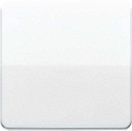 Jung Wippe CD590GB für Schalter/Taster