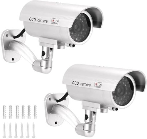 QWORK® Set da 2 Telecamere Fittizie di Sorveglianza da Esterno/Interno - Videocamere Antifurto con LED Lampeggiante - Colore Argento