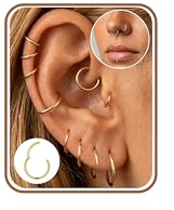 Minnario 10Pcs Piercing Oreille Creoles Acier Inoxydable Boucles d'Oreilles Femme Or/Argent Piercing Nez Anneaux Petites Piercings Septum Piercings Tragus Helix Conch Cartilage 6/8/10/12/14mm