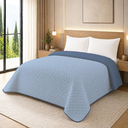 NARCISO - Trapunta Matrimoniale Primaverile con Trama Lavorata dal Design Classico, Trapuntino Ideale per la Mezza Stagione, Copriletto Matrimoniale Leggero (Azzurro/Polvere)