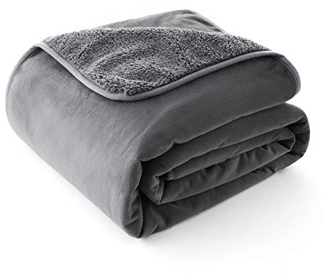 ALLISANDRO weiche wasserdichte Hundedecke Katzendecke Haustierdecke in 100x75cm - Kristall superweicher Verbundstoff Baumwollplüsch