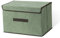 LELE LIFE Foldable Storage Box with Dustproof Lid and Handle, Foldable Storage Bin Collapsible Storage Organizer for Closet, Bedroom, Home, Green