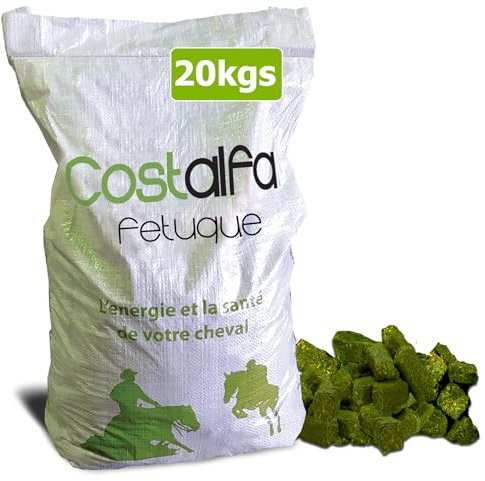 Costalfa Wafer Fetuque 20 kgs, Alimentation Chevaux, 100% Foin de fétuque. Stimule Les Fonctions intestinales, Anti-oxydants, contribue à la Bonne Digestion. Nourriture Haut-de-Gamme pour Cheval