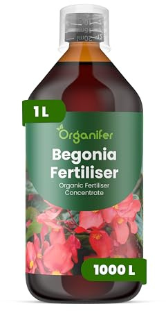 Flytande Gödsel För Begonia - 1L - NPK 2-1-8 | Flytande Gödsel För Riklig Blomning & Frodiga Blad - Främjar Rötter & Vitalitet - Organifer