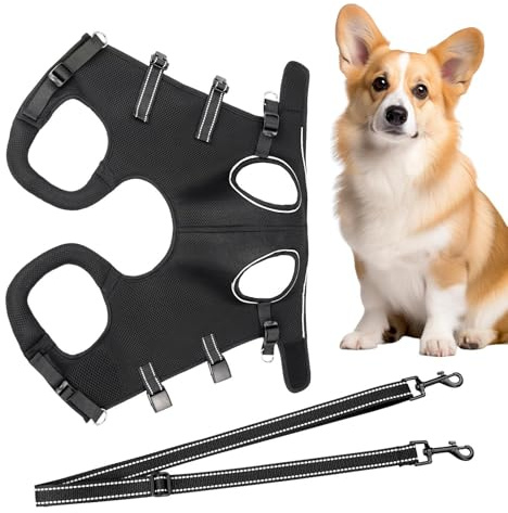 Weqizuerqi Sangle de transport pour chiens âgés - Sangle de soutien pour la récupération et aide au lever des chiots - Respirante et confortable - Réglable - Pour les promenades en plein air
