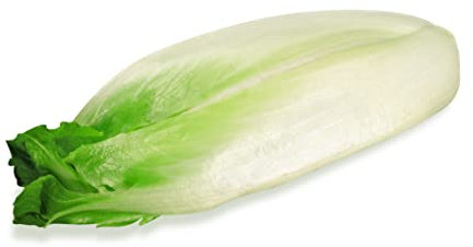 Just Seed Chicory - Brussels Witloof - 9000 Seeds