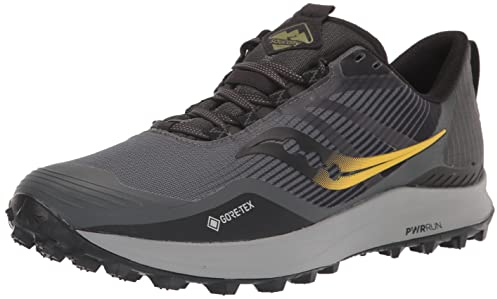 Saucony Herren Peregrine 12 GTX Walking-Schuh, Shadow/Vizi, 44.5 EU