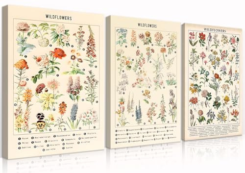 3Pcs Vintage Wildflowers Botanical Canvas Wall Art Colorful Rustic Style of Floral Picture Prints Farmhouse Style Illustrative Reference Flower Chart Painting Wall Decor(12x16in Wrapped Canvas)
