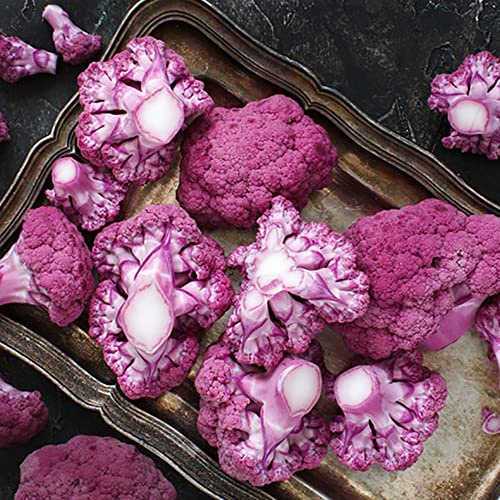 semi di cavolfiore, in vaso interno resistenti biologico 100pcs