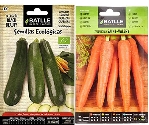 Semillas Batlle Calabacín Black Beauty - ECO & Zanahoria SAINT VALERY