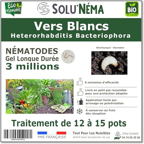 SOLUNEMA - Nématodes Contre Les Vers Blancs 3M Longue Durée