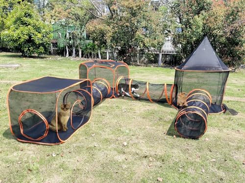 6 en 1 Tunnel pour Chat avec Sac de Transport
