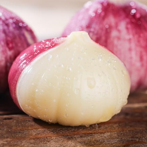 100 pcs Knoblauch Samen Zum Pflanzen - Allium Sativum Samen- GrüNpflanzen Zimmerpflanzen Samen, Balkon Kräutergarten Knoblauch Zum Pflanzen Kaufen, Pflanzknoblauch, Pflanzensamen Gemüse,