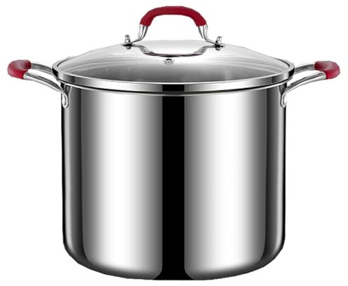 Marmite en acier inoxydable, compatible induction, avec couvercle en verre, fond épais antiadhésif, for pâtes, soupes, congee, spaghettis(24cm)