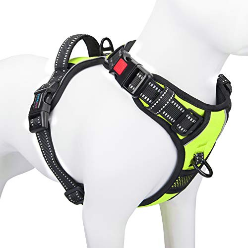 PHOEPET Arnés Reflectante para Perro de Raza Grande, Ajustable, sin tirones, con asa, 2 Anillos de Metal, 3 Hebillas [fácil de Poner y Quitar] (L, Verde)