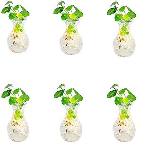 Blomkrukor,Inomhusväxtkrukor,Vas,VäxtkrukaPack med 6 Klart växtterrariumglas Transparent glasvas Dekorativ hyacintvas Blomkrukor Hydroponisk flaska for kontor Vardagsrum Heminredning