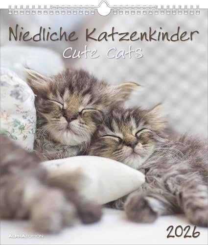 Alpha Edition - Niedliche Katzenkinder 2026 – Wandkalender 30×34 cm mit 12 Katzenbaby-Motiven & Monatsübersicht, dekorativer Tierkalender & Geschenk für Katzenliebhaber: Cute Cats