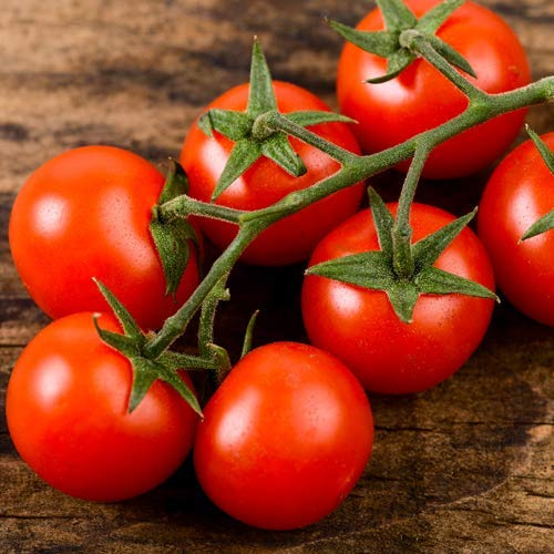 Tomat ''Cherry '' 50 x 100 % naturliga frön utan kemiska spridare eller genteknik - från Portugal