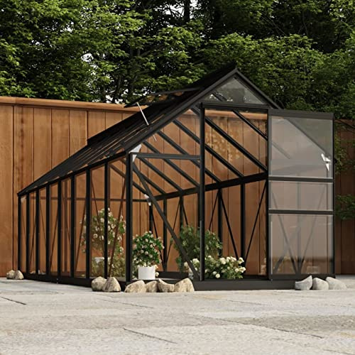 Tidyard Serra,Grande,da Giardino,per Esterno,Telaio in Alluminio Antracite e Vetro,155x395,5x191 cm,Serra per Piante,Serra da Esterno,Serra in Vetro Trasparente,Serra Grande,Serra da Giardino